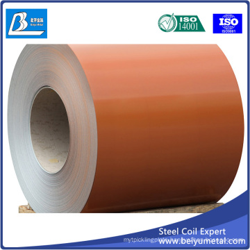 Oiled Cold Rolled Steel Sheet & Strip